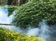 四害消殺完成后，需要做哪些鞏固工作呢？